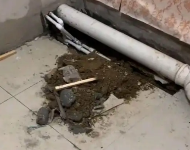 南木林卫生间漏水检测哪家好